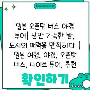 일본 오픈탑 버스 야경 투어| 낭만 가득한 밤, 도시의 매력을 만끽하다 | 일본 여행, 야경, 오픈탑 버스, 나이트 투어, 추천