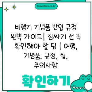 비행기 기념품 반입 규정 완벽 가이드| 짐싸기 전 꼭 확인해야 할 팁 | 여행, 기념품, 규정, 팁, 주의사항