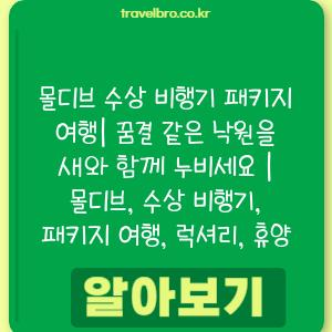 몰디브 수상 비행기 패키지 여행| 꿈결 같은 낙원을 새와 함께 누비세요 | 몰디브, 수상 비행기, 패키지 여행, 럭셔리, 휴양