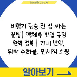 비행기 탑승 전 짐 싸는 꿀팁| 액체류 반입 규정 완벽 정복 | 기내 반입, 위탁 수하물, 면세점 쇼핑