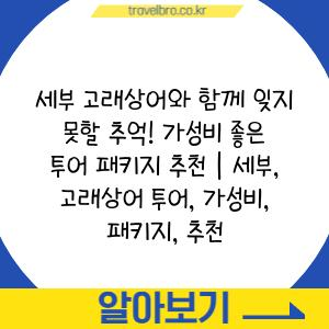 세부 고래상어와 함께 잊지 못할 추억! 가성비 좋은 투어 패키지 추천 | 세부, 고래상어 투어, 가성비, 패키지, 추천