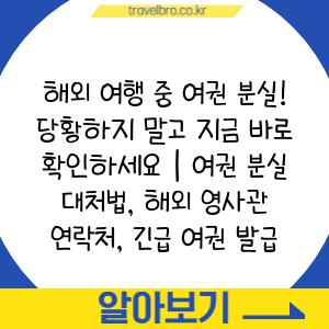 해외 여행 중 여권 분실! 당황하지 말고 지금 바로 확인하세요 | 여권 분실 대처법, 해외 영사관 연락처, 긴급 여권 발급